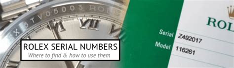 paul_rolex|rolex serial number lookup.